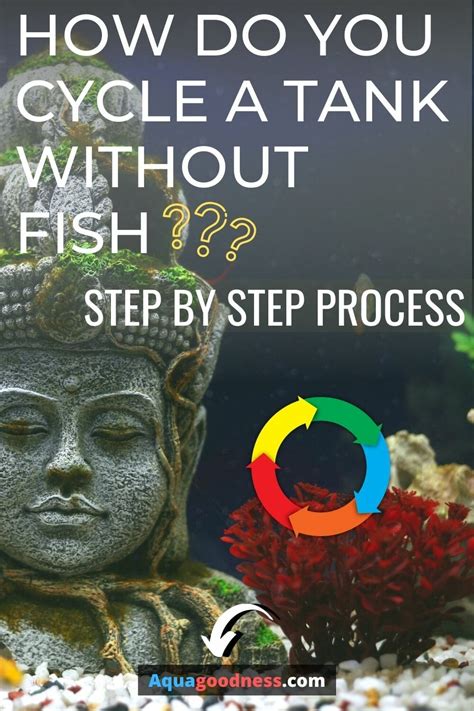 How to Cycle a Fish Tank With and Without Fish.